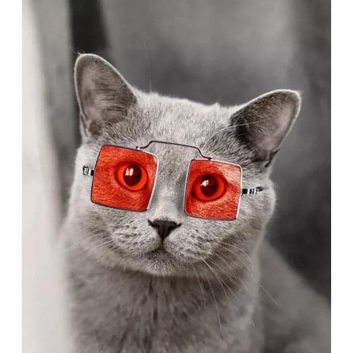 Fashion Universal Cat Dog Square Glasses Sunglasses Photos Props Pet Supplies