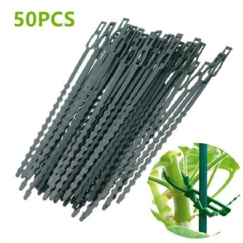 50pcs / pack Adjustable Plastic Plant Cable Ties Reusable Cable Ties for Garden Tree Climbing Support 13.5cm 17cm