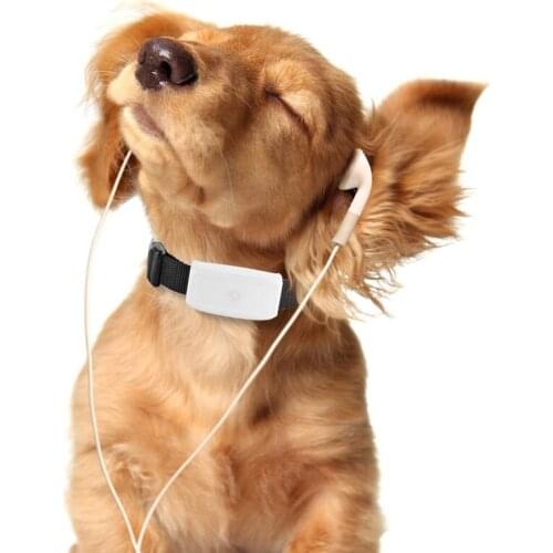 Cats Dog GPS Tracker Pet Collar TK911 Mini Pet Tracking Device GPS/WIFI/LBS Location TKSTAR Realtime Google Map Tracking