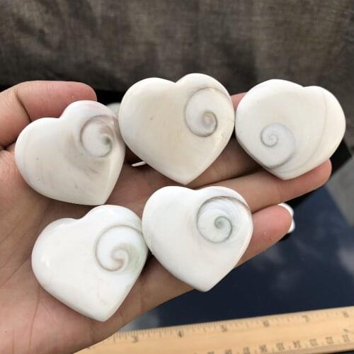 5 pc Natural shell fossil crystal craft conch heart specimen healing