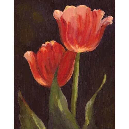 Happymems 11*14in Or 16*20in DIY 5D Round Tulip Flower Dimond Painting Full Square Craft
