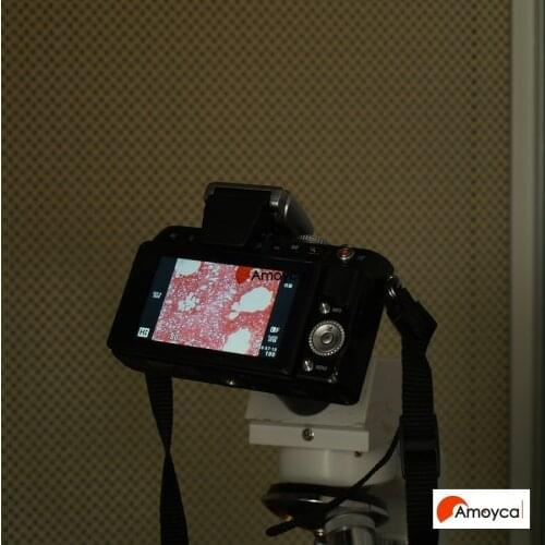 Panasonic Micro 4/3 M4/3 Lumix GH1 GX1 GF5 GF6 G1 G2 Microscope adapter GX8 GF7 GX7 GF8 DMC series