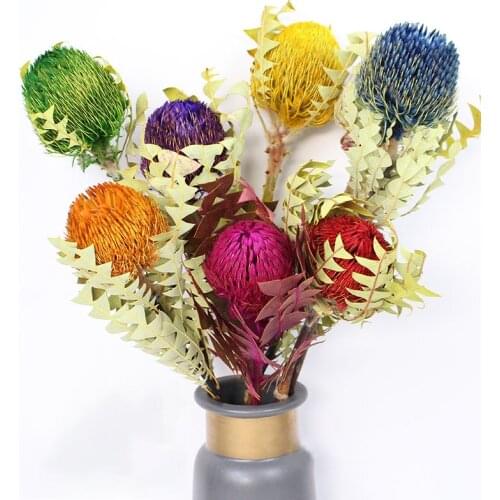 Natural Dried Flowers Luxury Africa Banksia Table Centerpieces Decor Artificial Preserved Plant for Decoration Photography Props