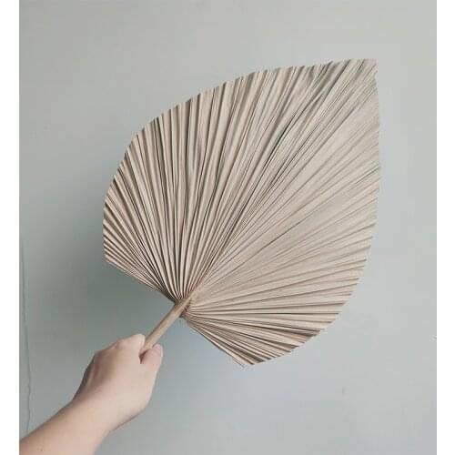 HVAYI Palm Fan Leaf Dried Flower Palm Leaf Table Reception Banquet Art Wall Hanging Decoration Wedding Arch Arrangement