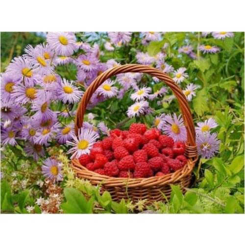 Fruits diamond painting strawberry daisy rhinestone embroidery picture diy mosaic sticker diamond tapestry poster wall paper