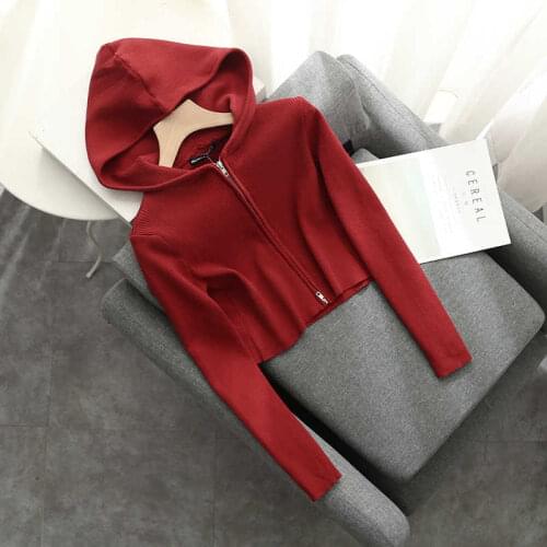 Slim Girls Soft Cotton Knitted Hoodies 2021 Fashion Ladies Elegant Bomb Sweatshirts Casual Female Knitwear Vintage Women Chic