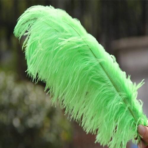 500pcs Apple Green Dyed Ostrich Feathers 35-40cm 14-16 Inch For Craft Wedding Party Supplies Carnival Dancer Decoration Plumages