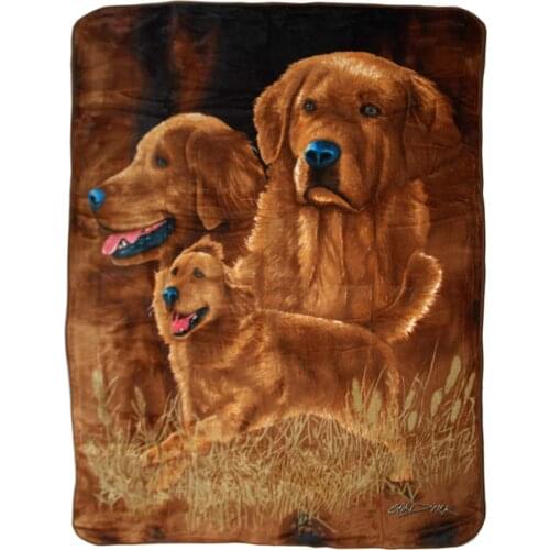 New Signature Collection Golden Retriever Korean Mink Blanket,ueen,Multicolor for bedroom livingroom best Selling 2021 halloween