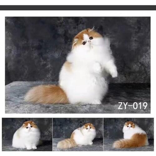 DAWNKNOW Pet Cat Photography Background Backdrop Uniquely Black Painting Pro Tie-Dyed Muslin Photocall Shoot Photo Studio 2x3M