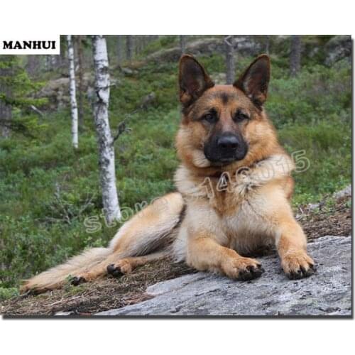 DIY Diamond Painting Spuare Rhinestone Pasting Decorative Paintings Diamond Embroidery Animal Dog picture Cross Stitch BFC268