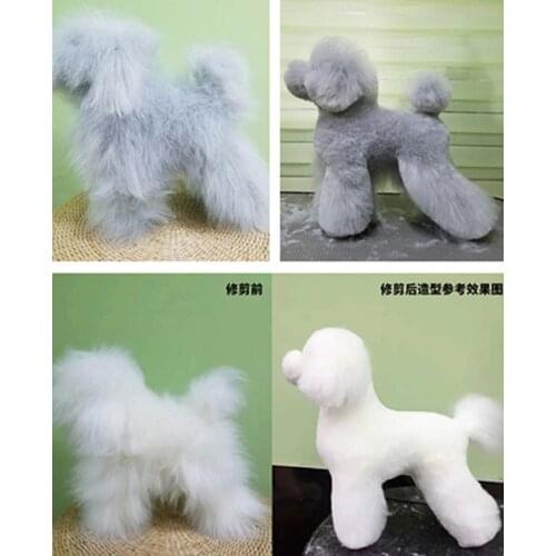 Pet Beauty Fake Dog Hair Model Model Teddy Dressed VIP Ram Dress Fake Dog Hair Pet Shop Practice Simulation Dog