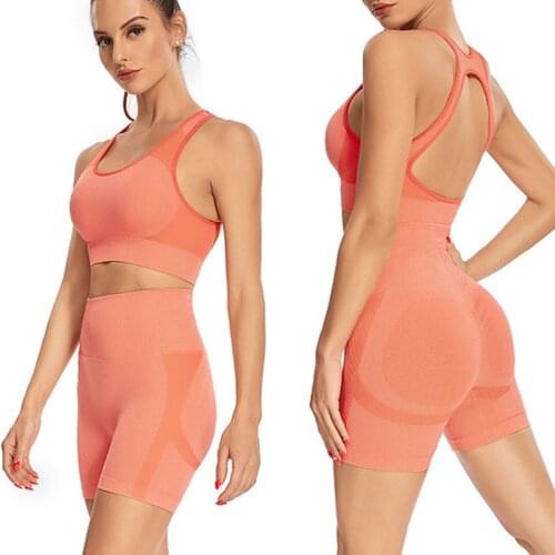 2 Piece Women Gym Set Sport Yoga Set Fitness Clothing for Women Sexy Sports Short-Sleeved High Waist Shorts Summer Yoga Suit