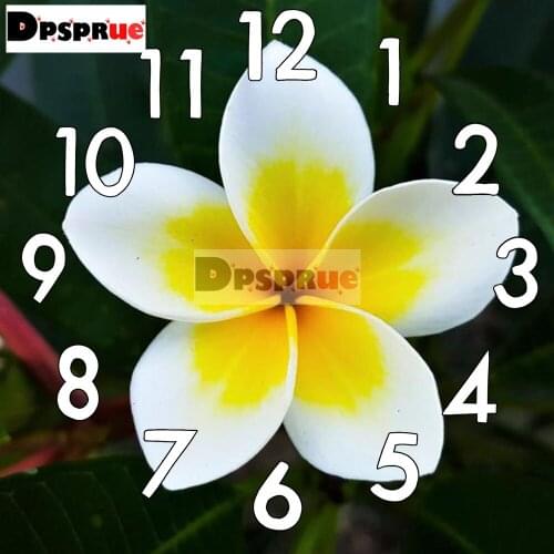Dpsprue Full Square/Round 5D Diamond Painting Kit With Clock Cross stitch Diamond Embroidery Mosaic Flower Gift DC012
