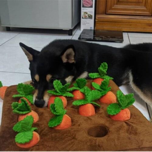 Pet Dog Snuffle Toy Pet InteractiveTraining Plush Molars Toy Puzzle Dog Toy Slow Food Picking Game Baby Educational Toy