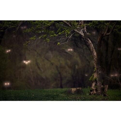 Halloween Forest Forest Haunted cottage Night Eyes background High quality Computer print children kids backdrop