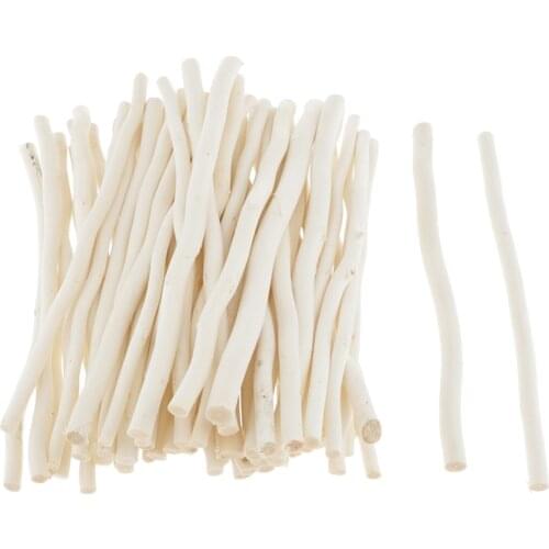 50pcs Natural Driftwood Small Pieces Sticks Rustic Wood Arts & Craft DIY Toy