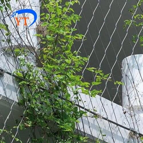 Flexible Stainless steel cable mesh for architectural surface plant climbing net/ garden fence