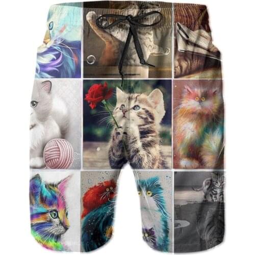 High quality Quick Dry Summer Mens Cat Siwmwear Beach Board Shorts For Man Swimming Shorts Beachwear