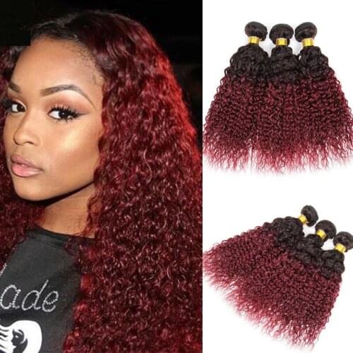 DreamDiana Ombre Brazilian Kinky Curly Bundles Two Tone Remy Burgundy Ombre Curly Hair Bundles Colored Afro Ombre Human Hair