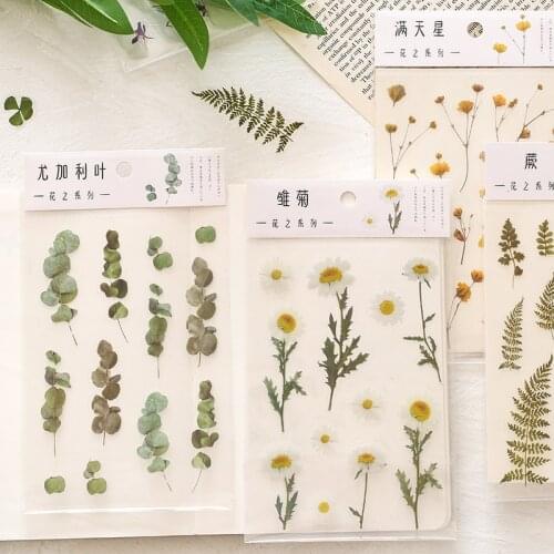 Transparent Plants Stickers Simple Natural Daisy Clover Fern Sticks Label Album Diary Computer DIY Decoration Hand Account Tools