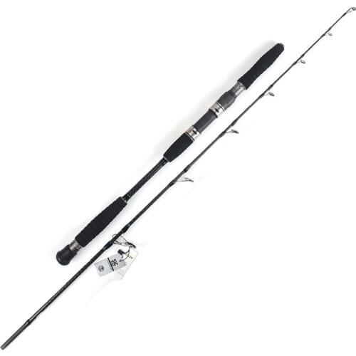 High carbon 2 section slow fuji jigging rod