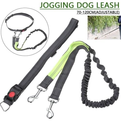 1PC Elastic Reflective Jogging Pet Dog Leash Outdoor Dog Walking Training Leash with Waist Belt Adjustable 115-155cm