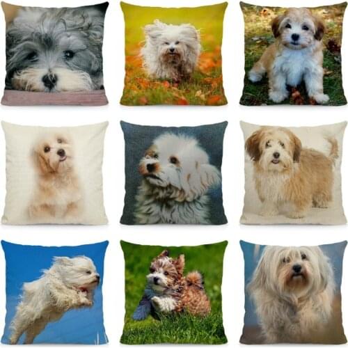 XUNYU Cushion Cover 45x45 Havanese Pillow Case Home Decoration Dog Pattern DWG043