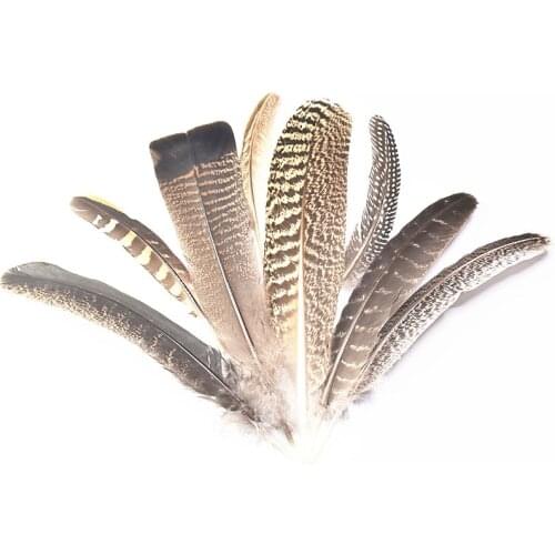 New Real Various Natural Eagle feathers 10pcs/lot 15-40CM Wedding decoration Plumes diy jewelry Eagle bird feathers For crafts