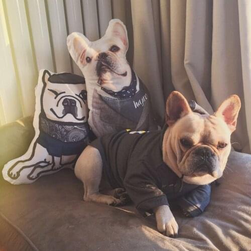 60cm customize printed dog/cat puppy pillow,make ur own puppy cushion toy,kat soft toys for children girls home decoration gift