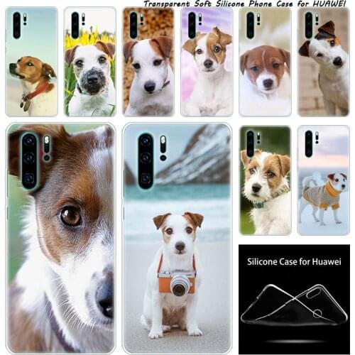 Luxury Soft Silicone Case Jack Russell Terrier Dog for Huawei NOVA 3 3i 5 5i P20 P30 Pro P9 P10 P8 Lite 2017 P Smart Z Plus 2019