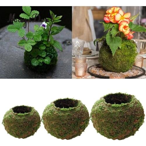 Set of 3 Creative Moss Ball Flower Pot Planter Bonsai Plant Holder Garden