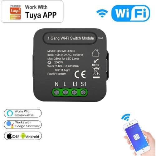 Tuya Smart WIFI Switch Dual Control ON-OFF Device APP Voice Remote Control Switch Smart Home Work With Alexa Google Home
