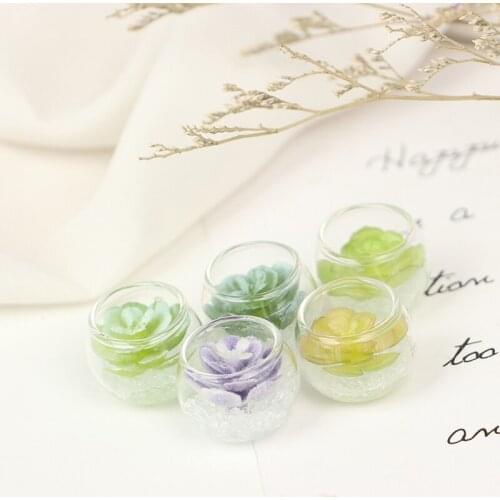 1:12 Dollhouse Miniature Succulent Plant Green Hydroponic Potted Dollhouse Glass Jar Model Home Garden Decor