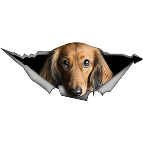 Long-haired Dachshund Car Sticker Pet Dog Torn Metal Decal Reflective waterpro Stickers 3D Decals vinyl,13cm*5cm