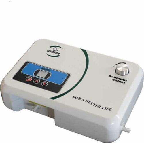 110V 220V Ozone Generator Portable Water Purifier Air Dryer Air Pump Spa Ozone Generator，Maximum Output 200mg/h