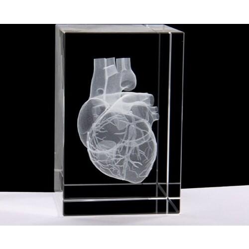 Crystal 3D Laser Heart Anatomy Model Cube Miniature Figurines For Hospital Display Souvenirs