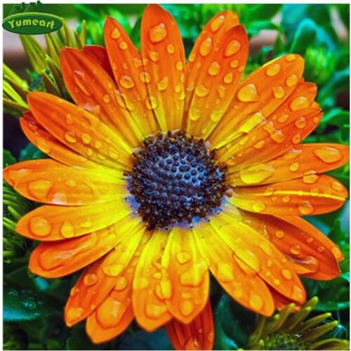 Yumeart 5D DIY Diamond Painting by Number Sun Flower Full Square Diamonds Art Embroidery Kits Daisy Decorations Home Living Room