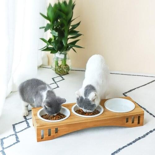 Pet Feeder Pet Feeding Bowl with Detachable Raised Bamboo Stand Pet Food Feeder for Cats or Small Dogs