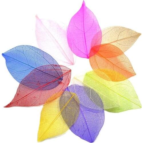 36pcs /Bag Multi-Color Natural Skeleton Leaf Dry Leaves Scrapbooking Girl DIY Material