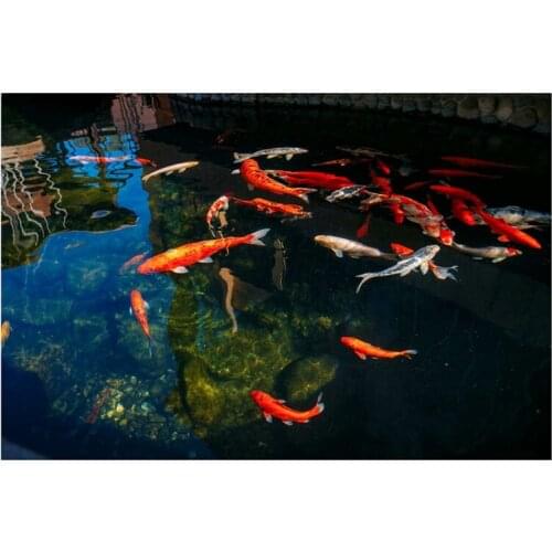 Practical DIY Diamond Painting Full Diamond Round Koi Cross Stitch Embroidery Home Decoration