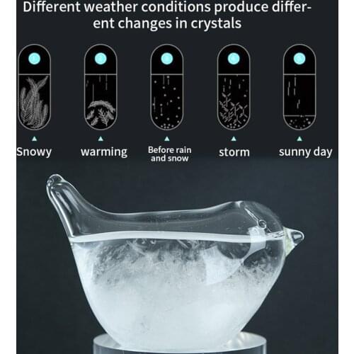 On Sale Storm Glass Weather Forecaster Weather Station Liquid Barometer Weather Predictor Office Desktop Home Weather Glass Hot