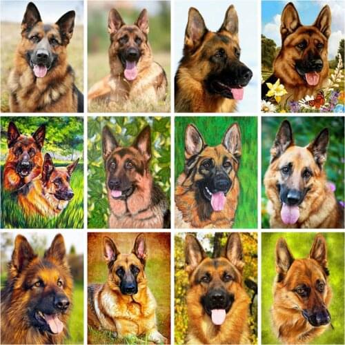 HUACAN Diy Diamond Painting Dog Wall Decor Diamond Embroidery German Shepherd Mosaic Crystal Diamond Art