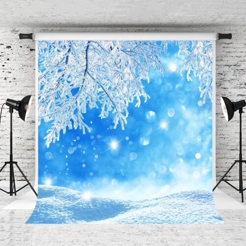 VinylBDS 10x10ft Blue Christmas Photography Backgrounds Newbron Baby Romantic Snow Forzen Studio Backdrops