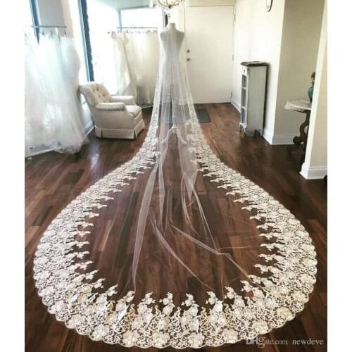 2019 Latest Wedding Veils Real Images Cathedral Length Full Lace Edge Blusher Face Appliqued Long White Ivory Tulle Bridal Veils