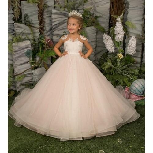 Ball Gown Flower Girl Dresses Layers Tulle Sheer Neck Sleeveless Little Princess First Communion Dresses Photoshoot