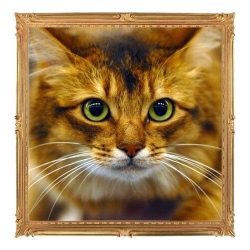 Diy Diamond Painting Photo Diamond Cross Stitch Animal Resin Square/round Diamond Sets Decorative Diamond Embroidery Cat