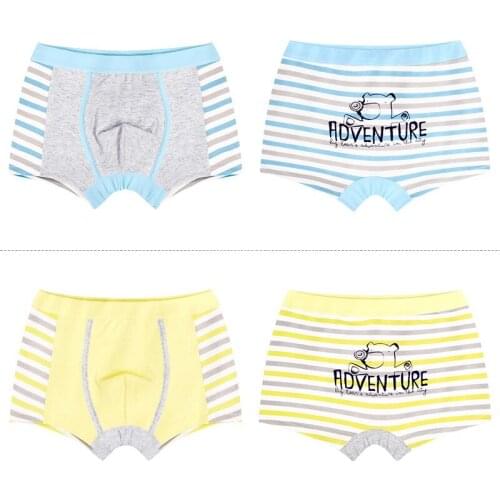 2pcs/set Cartoon Boys Underwear Baby Boy Cotton Panties Soft Children Underpants Teenage Briefs Boys Boxer Shorts New
