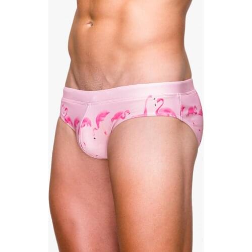 Mens Flamingo Printing Swimming Suits European Summer Beach Bikini Bottoms Hot Spring Holiday Swimming Breifs