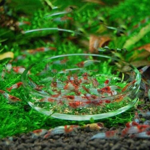2020 New Fish Tank Feeder Aquarium Shrimp Glass Feeding Bowl Dish Tray 6 Size