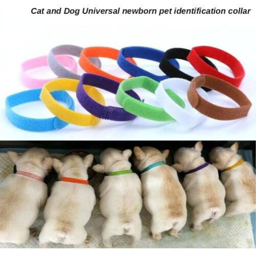 12 Pcs/Set Puppy Newborn Pets Identify Collars Adjustable Nylon Small Pet Dog Collars Kitten Necklace Whelping Puppy Collars